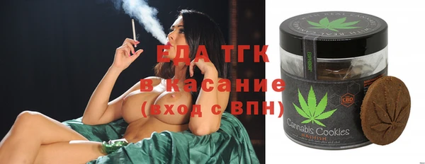 шишки Бородино