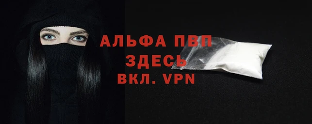 шишки Бородино