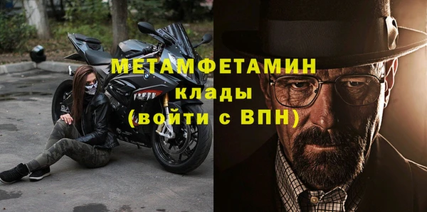 шишки Бородино