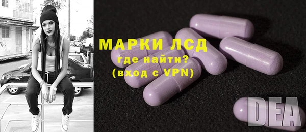 шишки Бородино