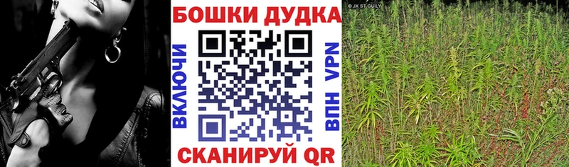 мориарти наркотические препараты  Дербент  МАРИХУАНА SATIVA & INDICA  наркота 